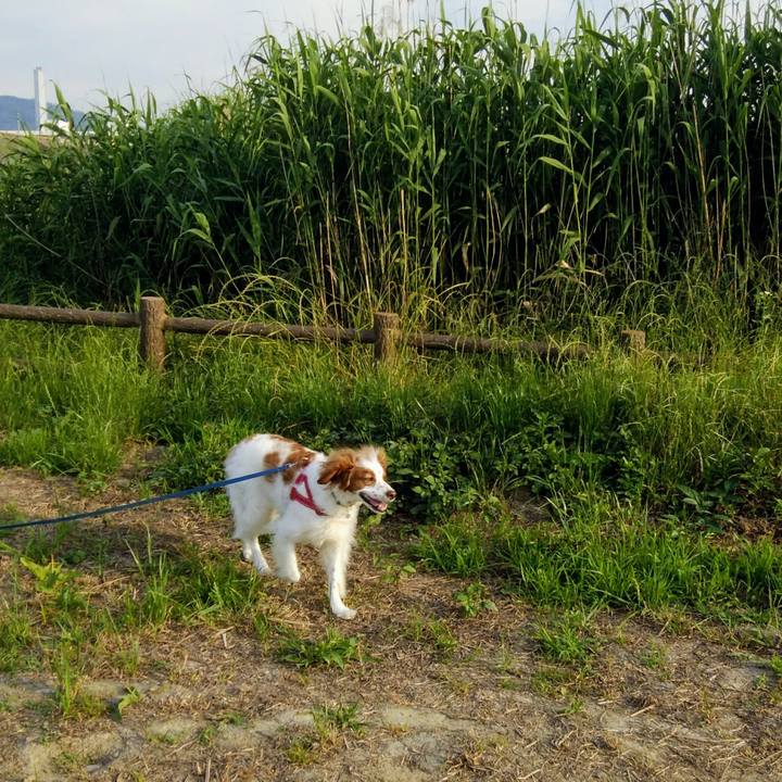 07bffa75 00c1 430a 9d20 d99dfffb1e85 1559821702277