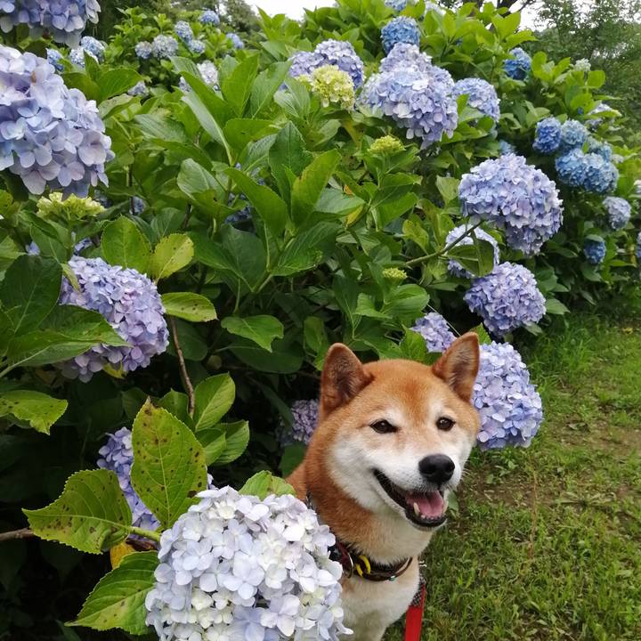 07c026cf b068 403a 9812 9295324cab82 1687508556541