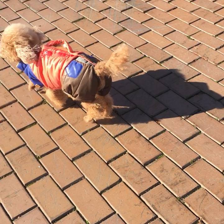 07c03690 bbfd 4d60 8c05 0471393135ee 1553689041567