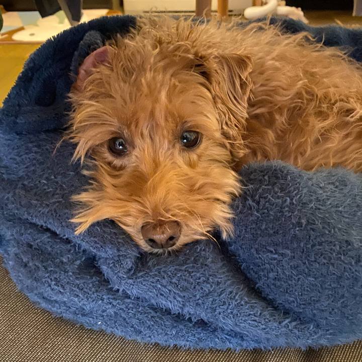 07c06d7a a431 4161 a534 ee2b141edc2e 1667604943843