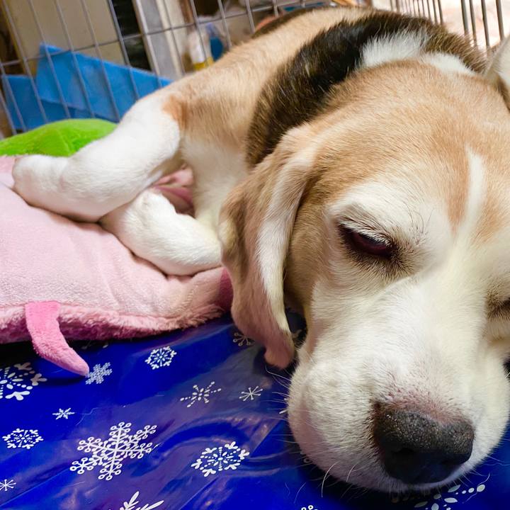 07c07ac1 c4a5 4e0e 8d9c 00e1f0154849 1598326108716