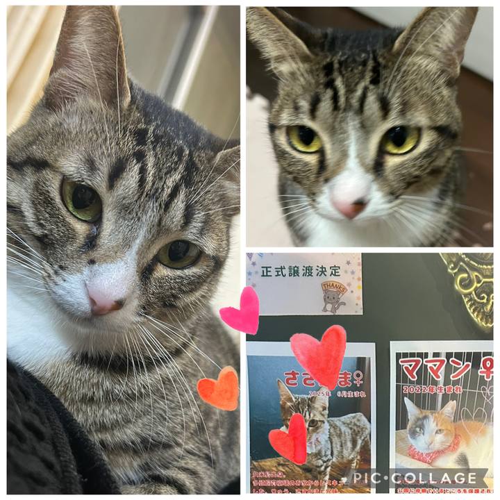 07c09413 e43a 4a37 ac40 a58891700114 1770375670956