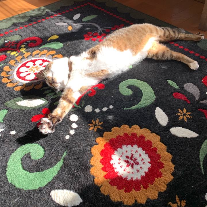 07c09844 1380 4fe5 8033 8f891d6e9d89 1554808452296