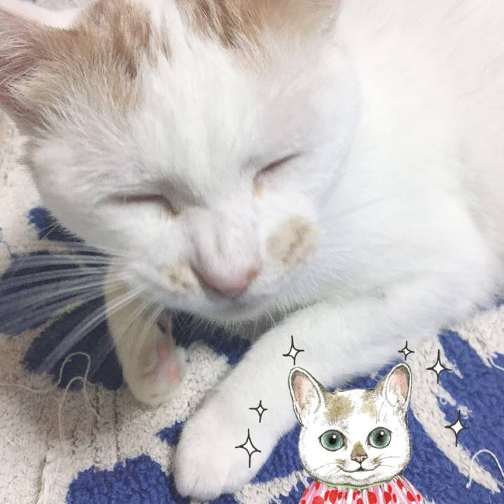 07c0dfc6 211f 44b0 a60f 6601ead5b3ba 1569767525514