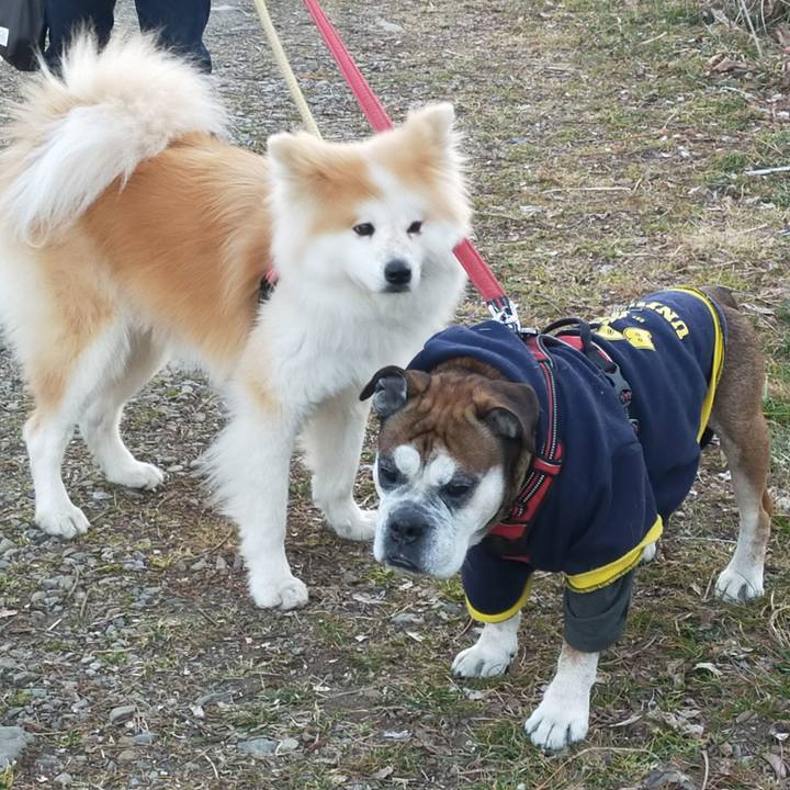 07c0e2e5 59f7 47a6 b21a f44c438f76a3 1645879649793