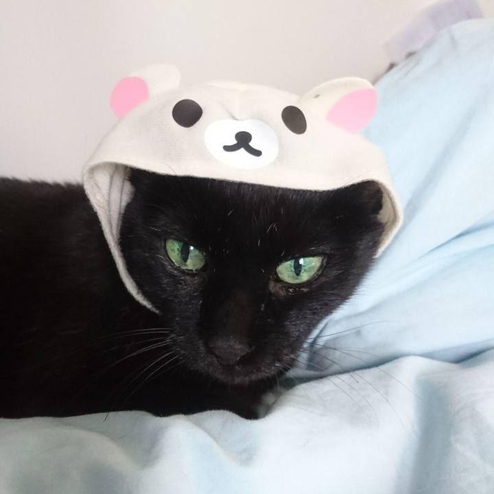 07c1c807 98cb 4636 b5ab 778195a53164 1528619026174