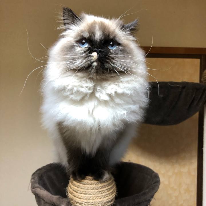 07c1d072 3133 4da7 9f14 2cdaced5cc13 1640005172002