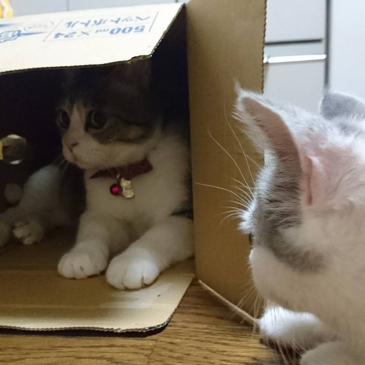 07c1dc36 d1a3 45cf bfbe f79a417ac7a6 1530421159153