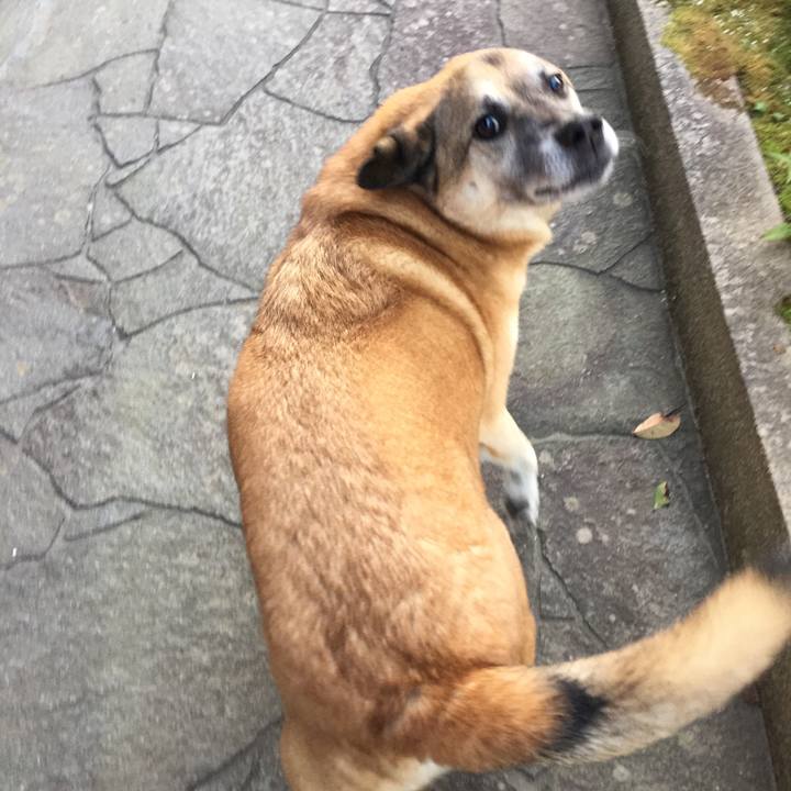 07c1fade 8247 4d23 9d73 b7c34d934c5c 1509099360077