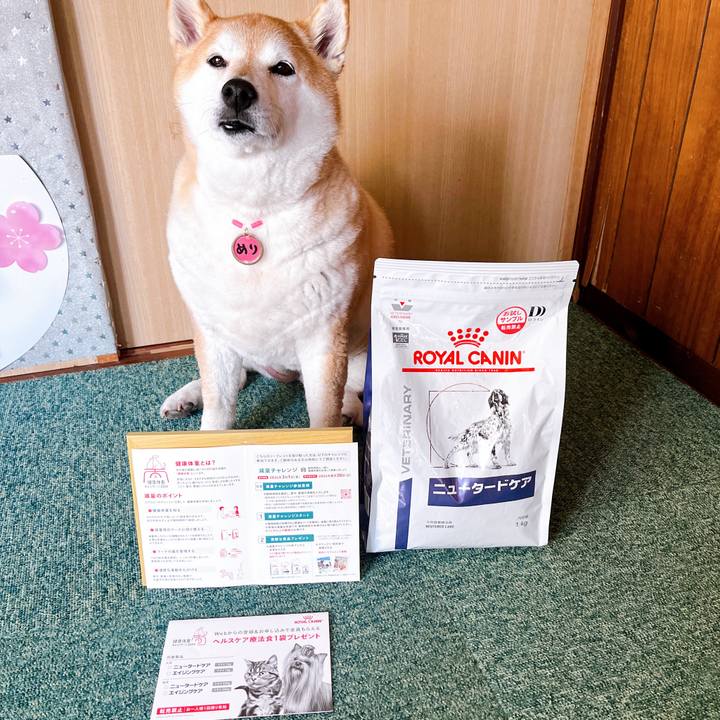 07c21b84 74f5 43ca 8150 7babe2121893 1712031102275