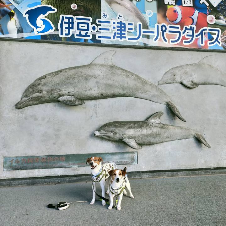 07c2819d 0dd3 45be 80fb 5e638ccfb694 1768563948840