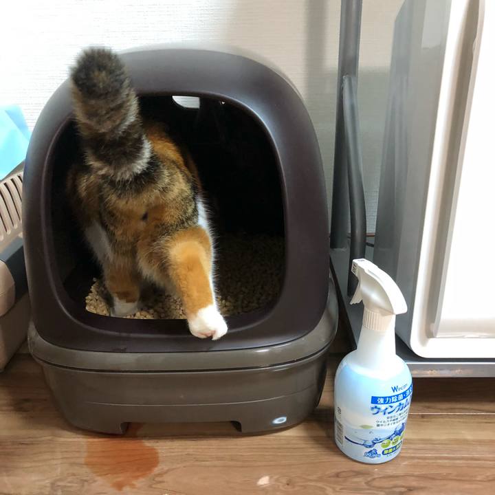 07c2ca7c 4ad9 41c9 b747 adb486124f32 1537608883742