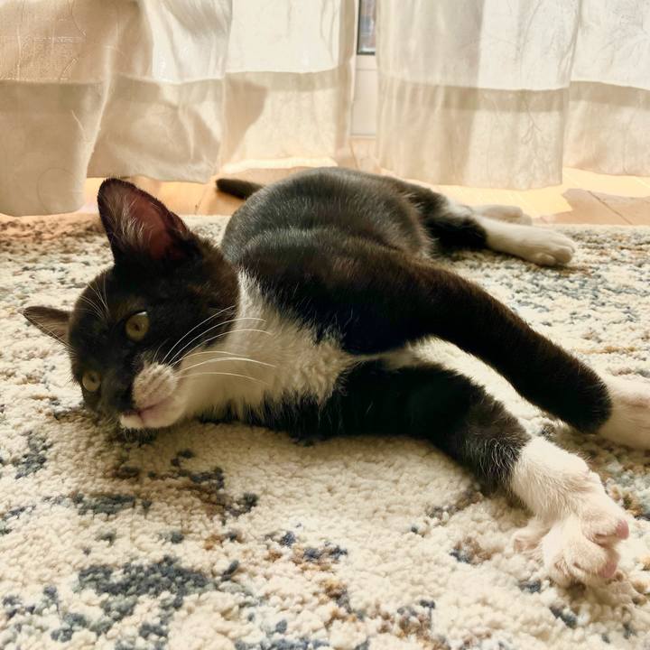 07c2efe5 5225 4885 a143 c8f4368cf4bc 1762175011152