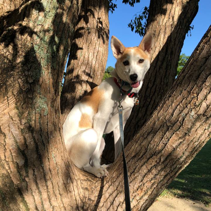 07c33ed7 4d83 446e bf2a ea124294edb0 1602084145393