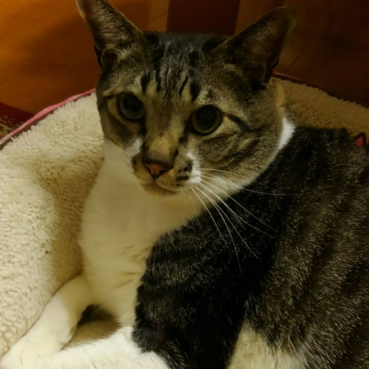 07c34b59 4e0a 4f22 abdb b31a731dc2d4 1515677153536