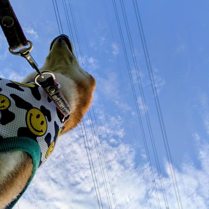 07c37a9b 5dd5 40b8 8bb7 9150bbd95ba0 1755333192699