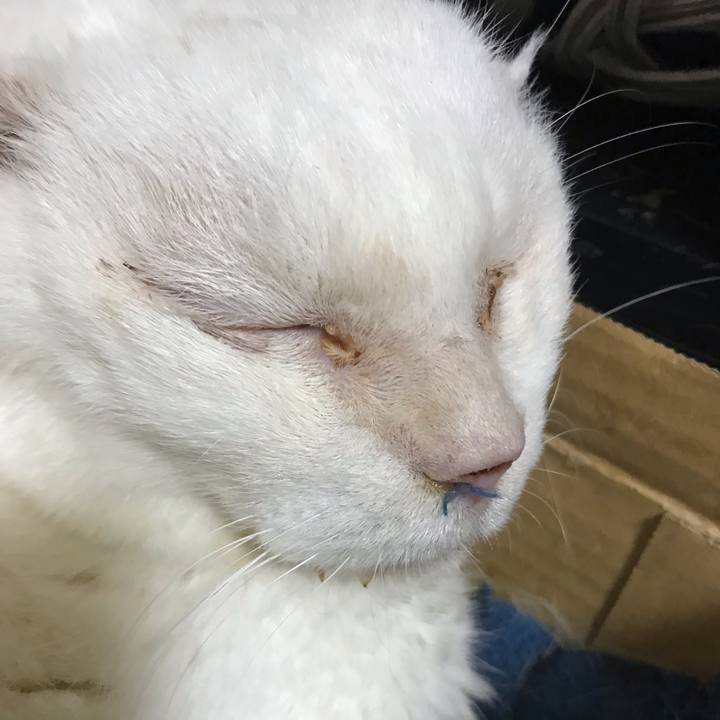 07c39e8a 153a 4558 9e78 9581f3a19efe 1541000236320