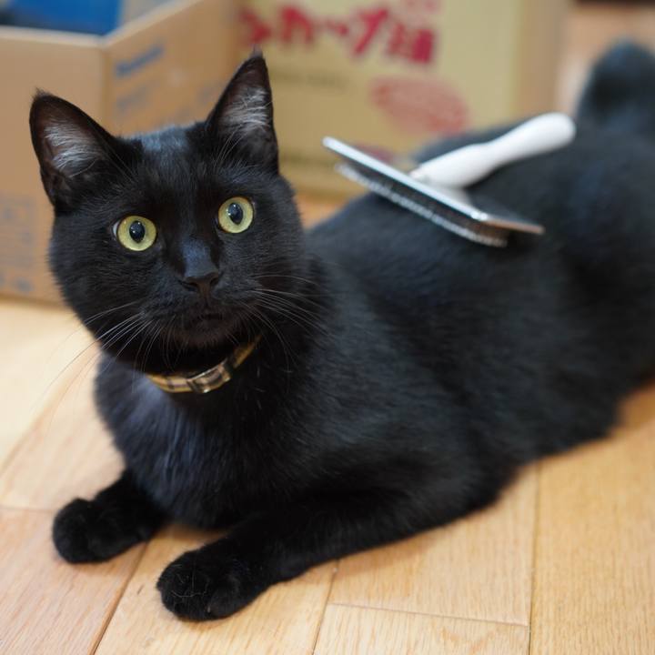 07c3ae73 2b8c 497f 91c3 8b44a1a85cc9 1622435564935