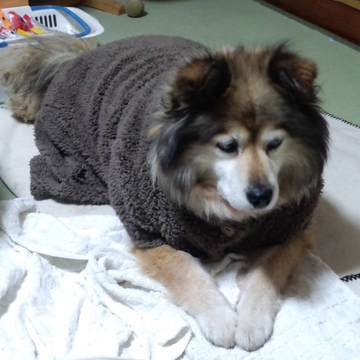 07c3dda6 751d 41e0 bc41 aa4e9b47ca92 1602314579853