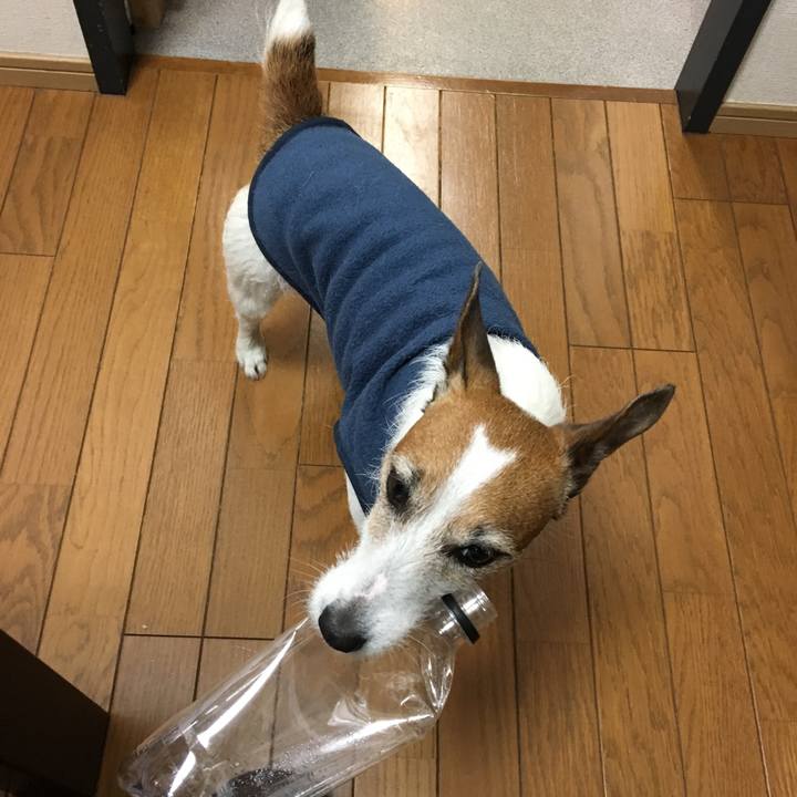 07c446c2 c61e 4d75 8185 ad80643de5c2 1553123824766