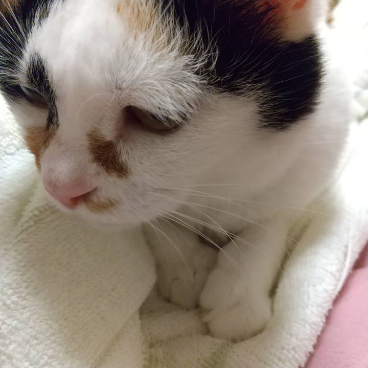 07c473fc 6862 4aed 8c02 6494263eb745 1609504090993