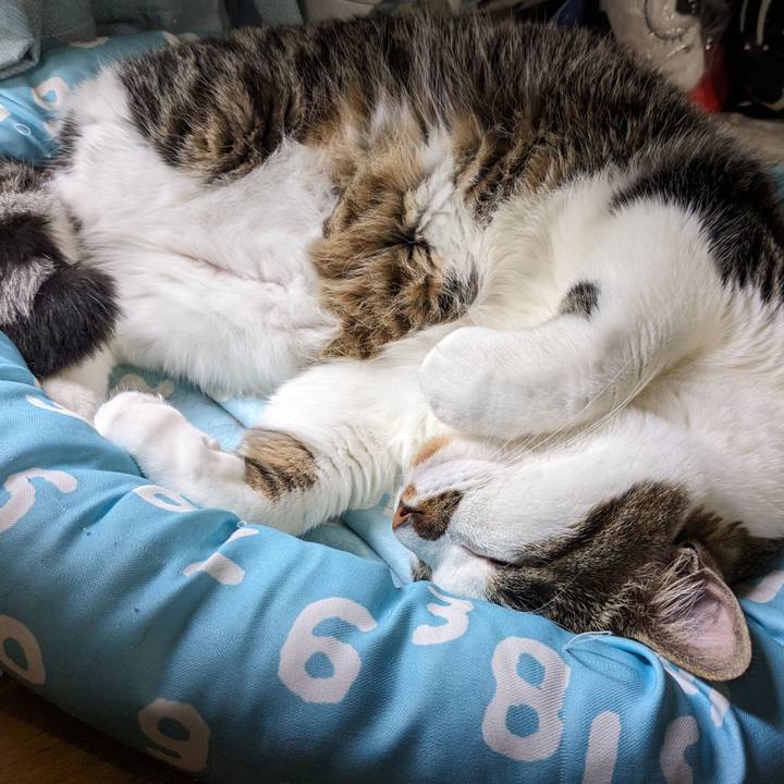 07c48f5f 2575 446f a14b 173cdabe3e19 1716074426208