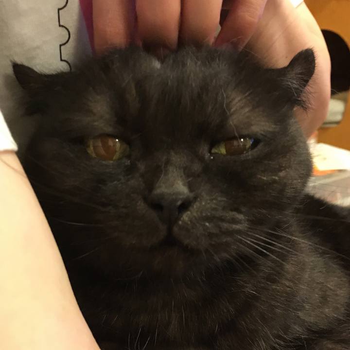 07c4eb14 1be5 4221 9b2c 158ad21de528 1538485841400