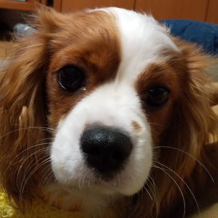 07c52a7a c2f0 409f 9d28 3d26d761fb1f 1574427976425