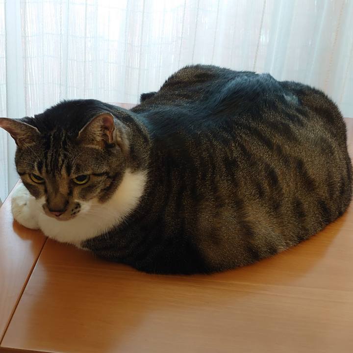 07c56732 18d7 4eec 84c7 ab50b249b668 1663204386396