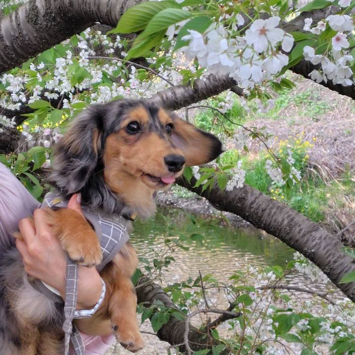 07c56db9 d9c2 48ae 9a7f 0cacfeeced37 1712617405665