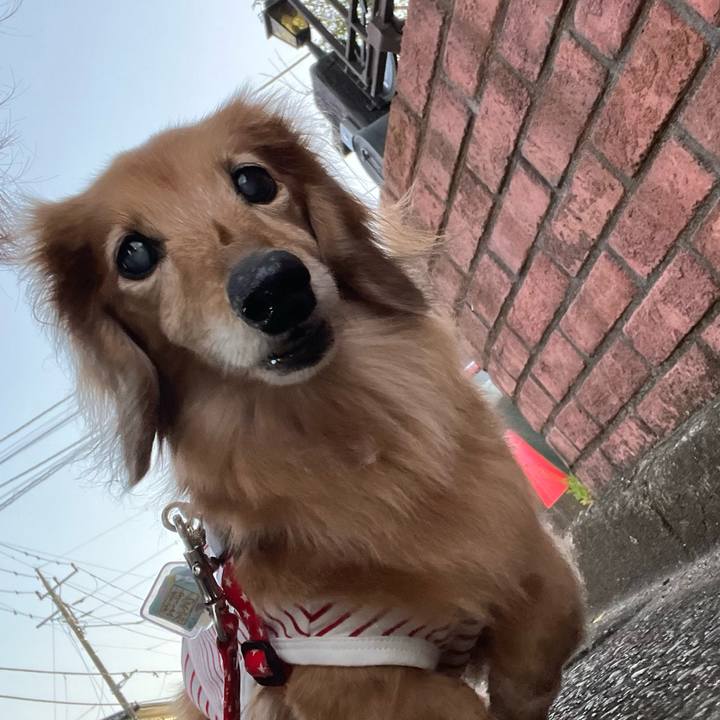 07c5975b 3d83 431b 9379 48d77c059edd 1682000638387