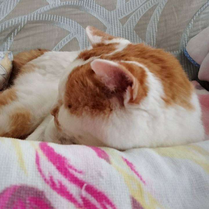 07c5ccb3 3ea8 4d1a 9381 b851a82e0395 1546233017100