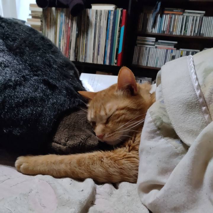 07c5da0a 90e7 4568 a9db 243ec67f027a 1774513818977