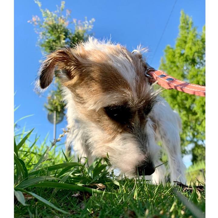 07c5f139 dc2b 4d73 8269 f5b984935b5c 1628637661228