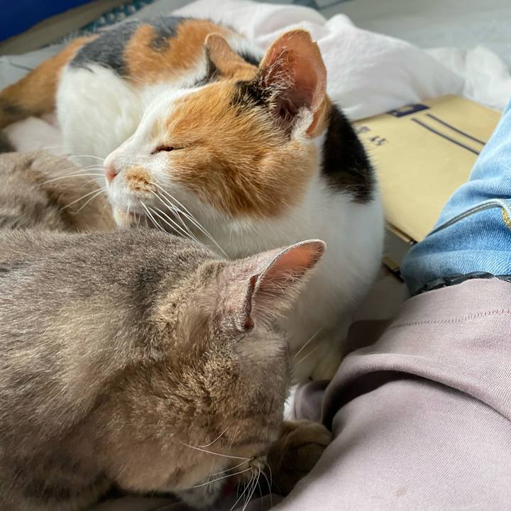 07c65e02 bccf 47b7 bb2d f4062ffe848d 1592481506805