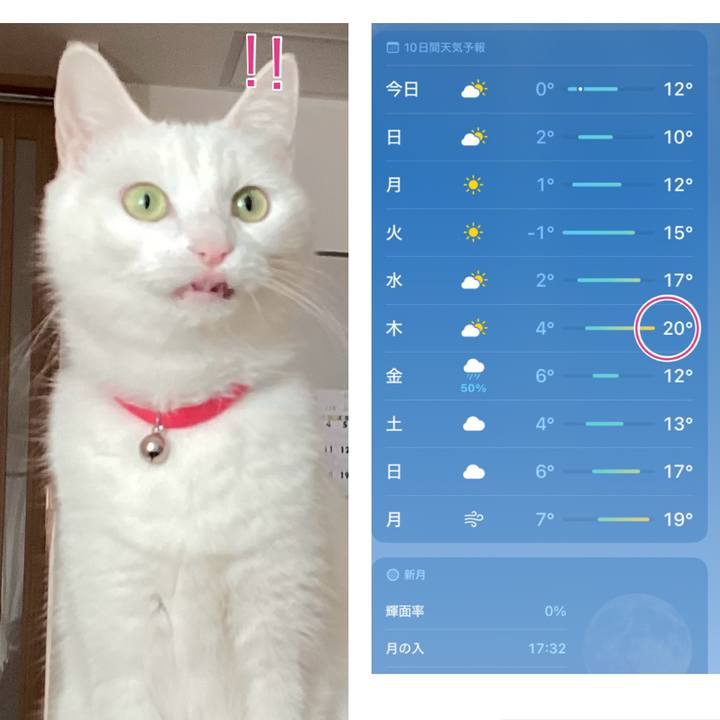 07c667d2 36c7 4d61 ac7e ba639a13edc8 1707522976673