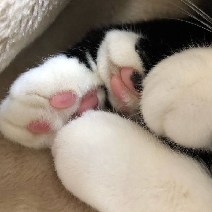 07c6717d 84a1 4a91 ad75 682b00215b01 1546056375909