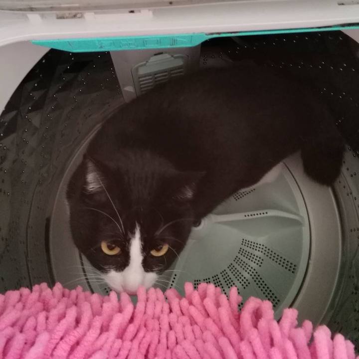 07c6747b 13a2 468d 969c e28c53425fbb 1616556480094