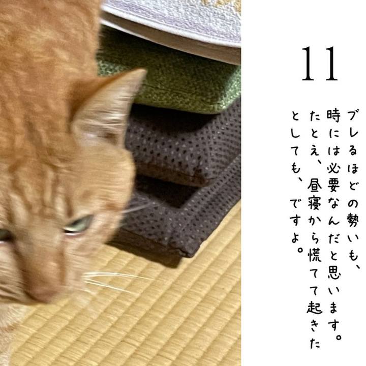 07c68e7b 0941 49bd bc0f 9cae1aaa4c82 1786417553277