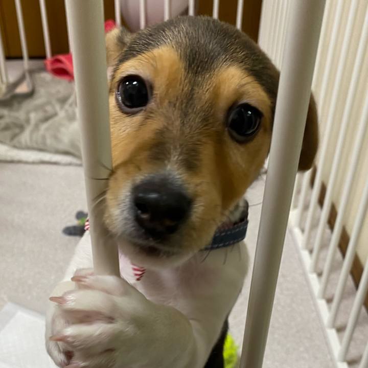 07c699f2 db29 4bd6 ab6c 005b62d6791c 1742851588075