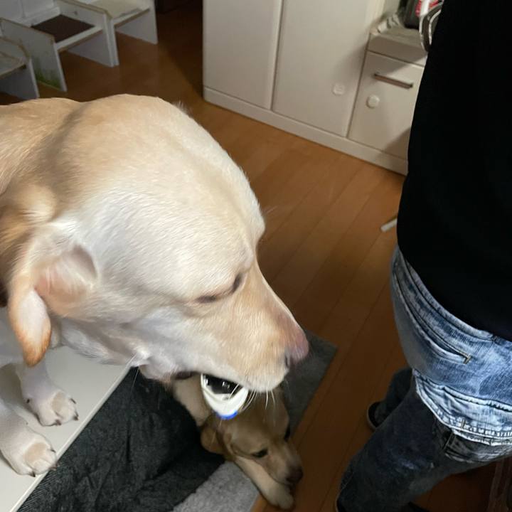 07c6a3f8 6e4e 4e41 b5e9 3934d788c137 1644539416625