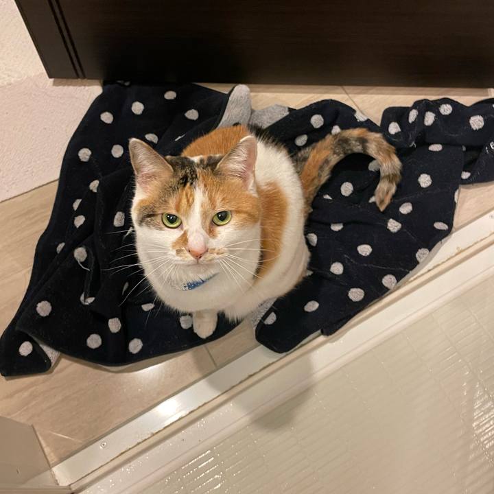 07c6b8e1 891d 4c22 a172 961e8b4b7482 1710684563749