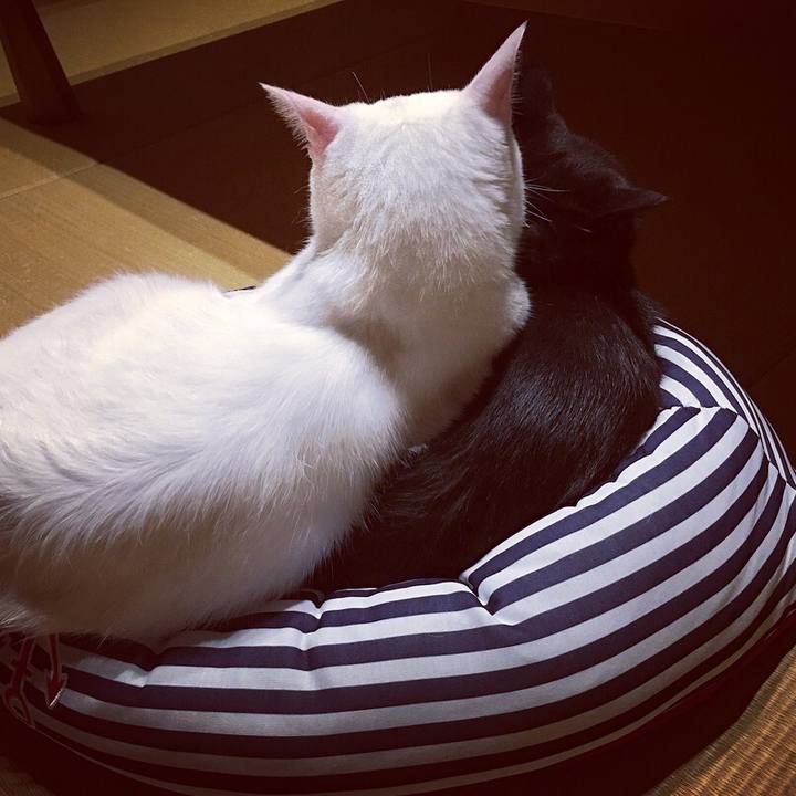 07c6be54 61f4 4f03 a71b c460f9995521 1527698124155