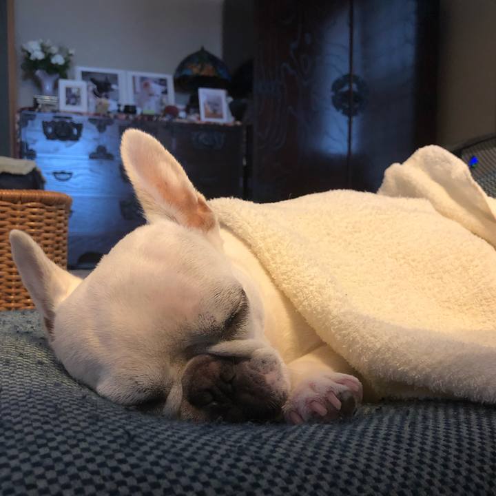 07c70f71 4963 45d9 86bb f502de1e2833 1629007061162