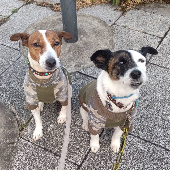 07c711f3 81b4 4c3f a4d6 1748f34aa118 1676414842062