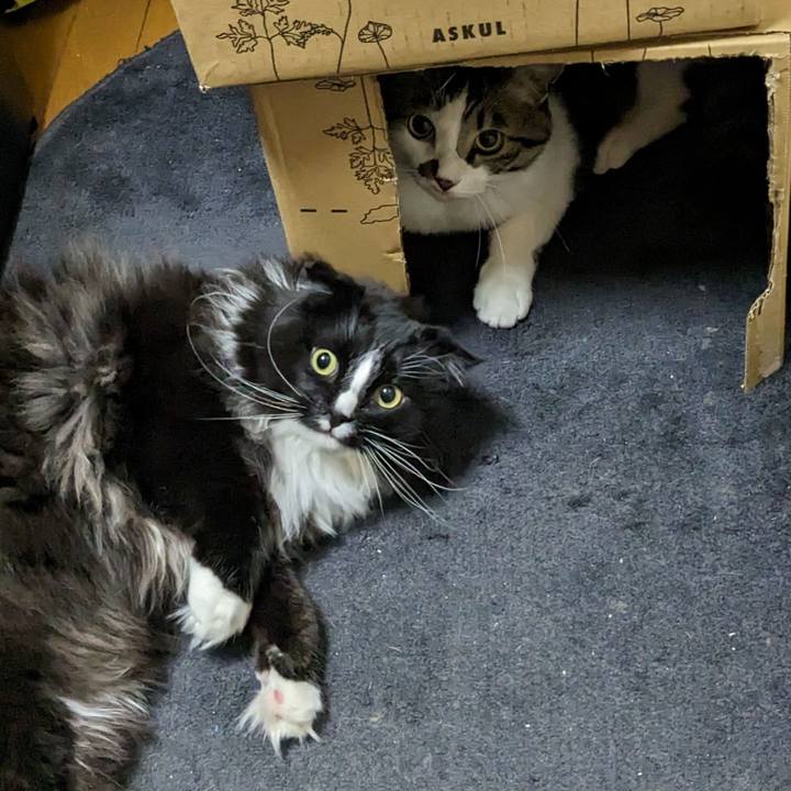 07c7306c 1e00 42fc 85ef c5dd40b6d1ba 1682200638831