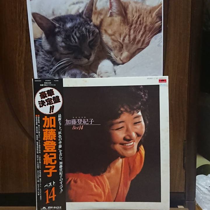 07c73ba3 34eb 45ed 90f9 881912012dec 1603107579012