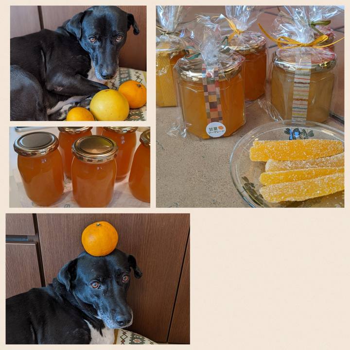 07c754ee 7095 457e a1cc 4a5fe37fc726 1678015867878