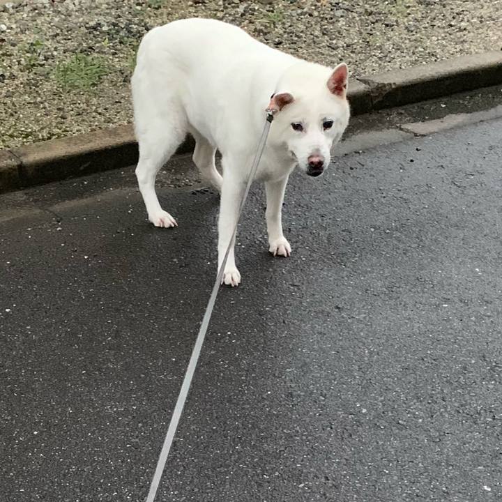 07c75de0 b8c7 4704 886f 9481f462b2a2 1563105204702