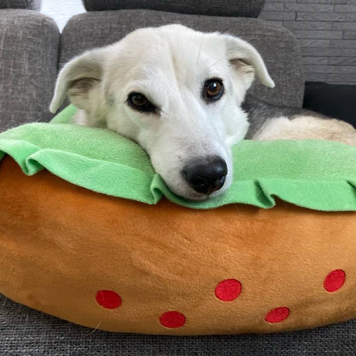 07c773f3 9f5d 49f2 8ca3 e603ef658c62 1670757989450